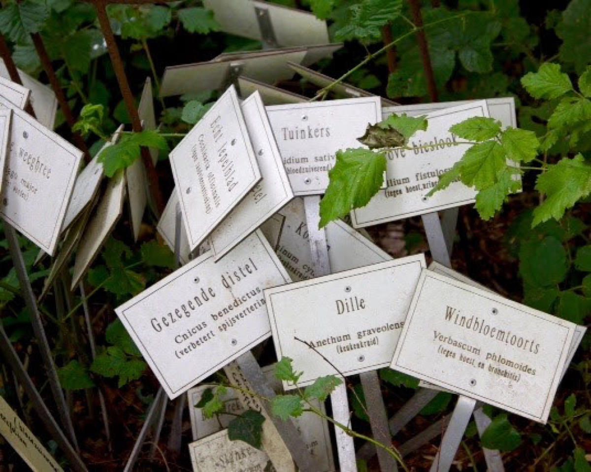 Publieksrondleiding De Kruidentuin